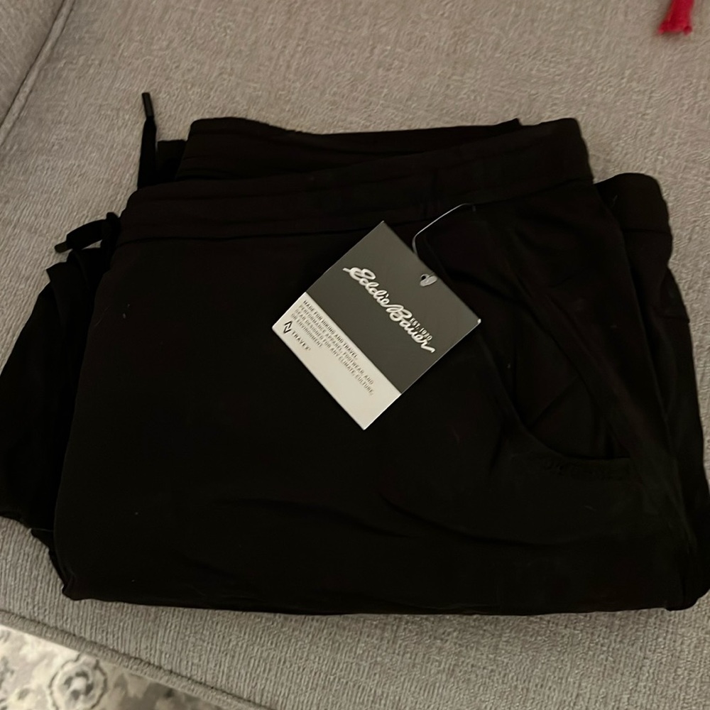 NWT Eddie Bauer Travex Horizon Cropped Pants